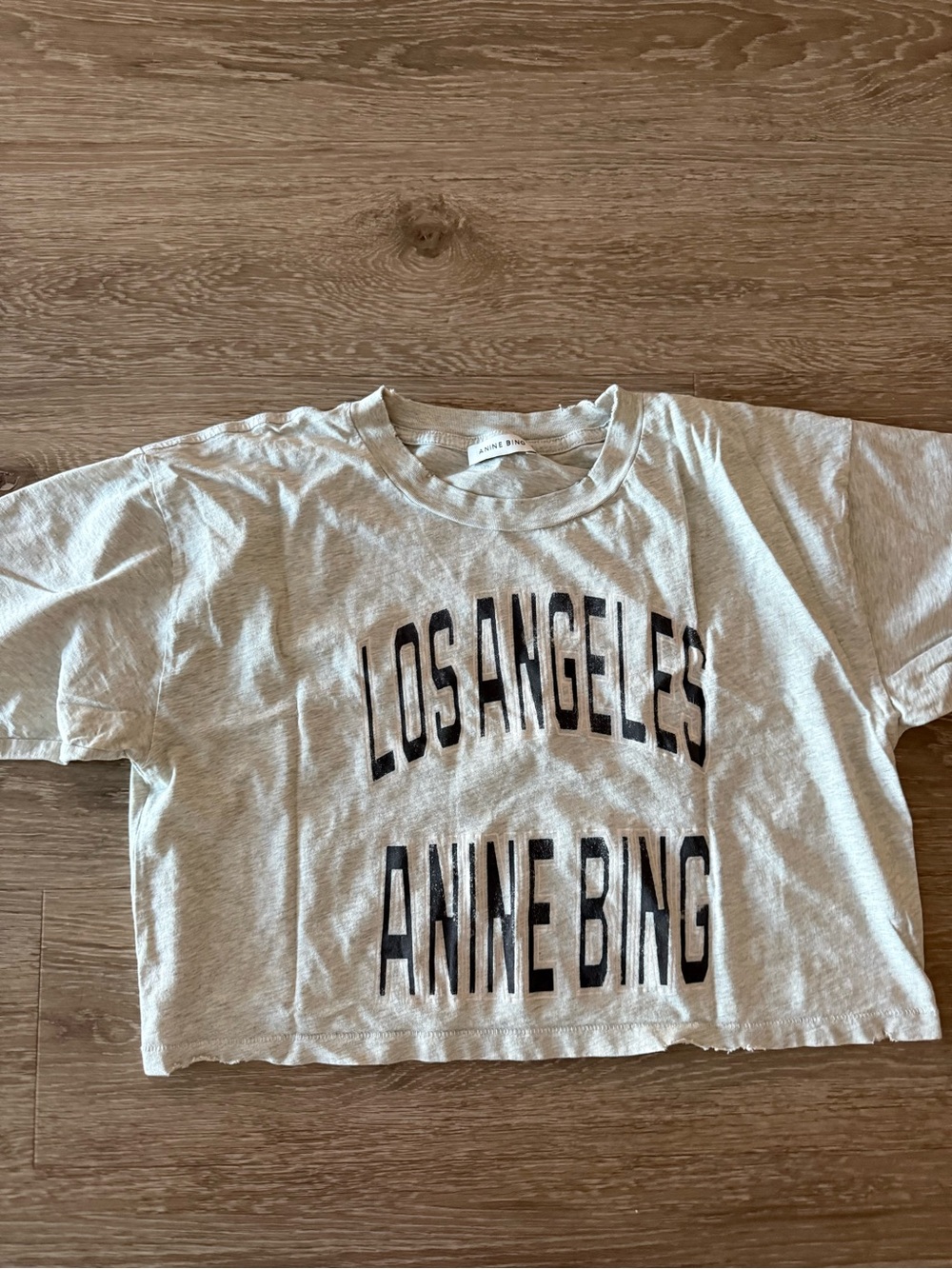 NWOT ANINE BING Johnny cropped tee - Picture 2 of 3